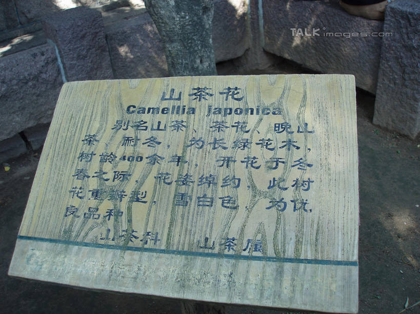 无人,横图,室外,特写,白天,正面,石头,美景,雕塑,青岛,中国,亚洲,阴影,艺术,装饰,光线,标志,雕刻,雕像,石子,文字,影子,字符,景观,标识,山东,石雕,石刻,阳光,自然,石碑,工艺品,汉字,景色,纪念,美术,中文,自然风光,主题,陈列,东亚,山东省,中华人民共和国,华东地区,功能,美学,国文,华文,鲁,青岛市,石块,岩石,彩图,shslj1