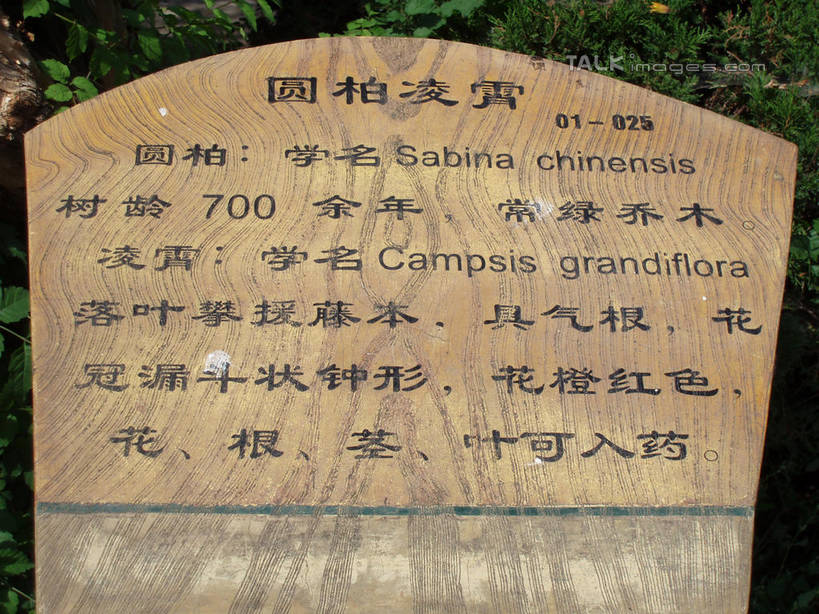 无人,横图,室外,特写,白天,正面,石头,美景,雕塑,青岛,中国,亚洲,阴影,艺术,装饰,光线,英文,标志,雕刻,雕像,石子,数字,文字,影子,字符,字母,景观,标识,山东,石雕,石刻,阳光,自然,石碑,工艺品,汉字,景色,阿拉伯数字,纪念,英文字母,美术,中文,自然风光,主题,陈列,东亚,山东省,中华人民共和国,华东地区,功能,美学,国文,华文,鲁,青岛市,石块,岩石,彩图,shslj1
