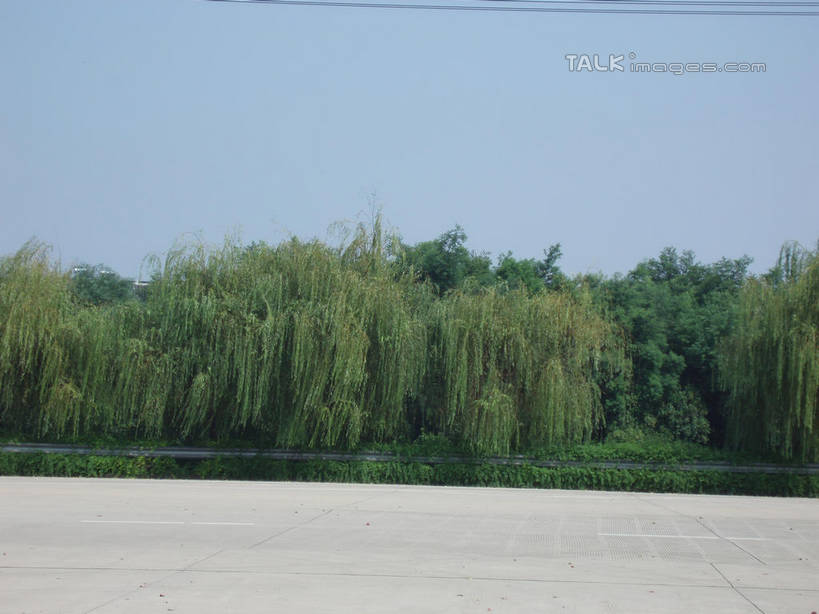 无人,横图,室外,白天,正面,旅游,度假,草地,草坪,湖,湖泊,美景,树林,水,植物,太湖,中国,亚洲,阴影,波纹,光线,影子,湖面,景观,水流,水面,涟漪,娱乐,江苏,苏州,草,树,树木,蓝色,绿色,倒影,蓝天,水纹,天空,阳光,自然,波浪,湖水,天,享受,休闲,景色,放松,缥缈峰,西山,生长,晴朗,成长,倒映,自然风光,东亚,江苏省,苏州市,万里无云,中华人民共和国,华东地区,苏,水晕,反照,吴中区,晴空,晴空万里,彩图,洞庭西山,包山,shslj1