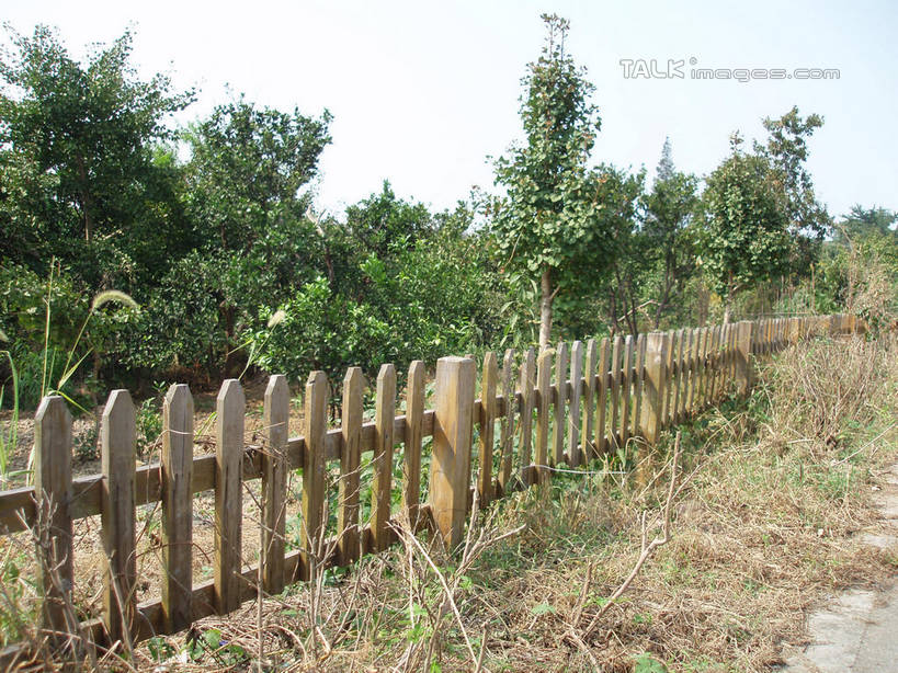 无人,栏杆,横图,室外,白天,正面,旅游,度假,美景,树林,植物,中国,亚洲,阴影,枯萎,光线,影子,栅栏,景观,篱笆,围栏,枯草,娱乐,浙江,护栏,草,树,树木,浙江省,黄色,蓝色,绿色,蓝天,天空,阳光,自然,天,享受,休闲,景色,放松,缥缈峰,生长,晴朗,成长,自然风光,东亚,万里无云,中华人民共和国,华东地区,浙,晴空,晴空万里,彩图,shslj1