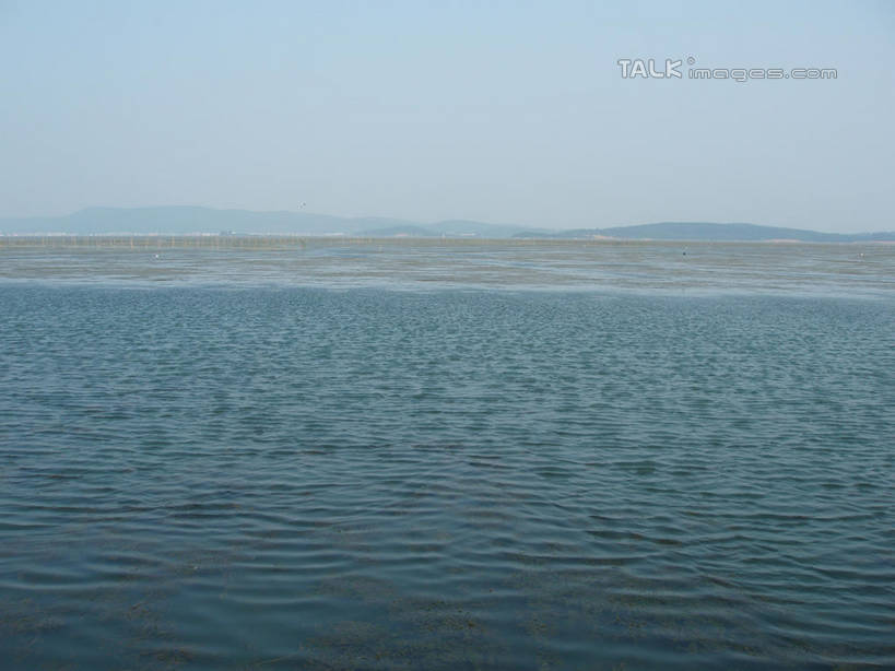 无人,横图,室外,白天,正面,旅游,度假,湖,湖泊,美景,山,山脉,水,太湖,中国,亚洲,阴影,波纹,光线,影子,湖面,景观,山峰,水流,水面,涟漪,山峦,娱乐,江苏,苏州,蓝色,蓝天,水纹,天空,阳光,自然,波浪,湖水,群山,天,享受,休闲,景色,放松,缥缈峰,西山,晴朗,自然风光,东亚,江苏省,苏州市,万里无云,中华人民共和国,华东地区,苏,水晕,吴中区,晴空,晴空万里,彩图,洞庭西山,包山,shslj1