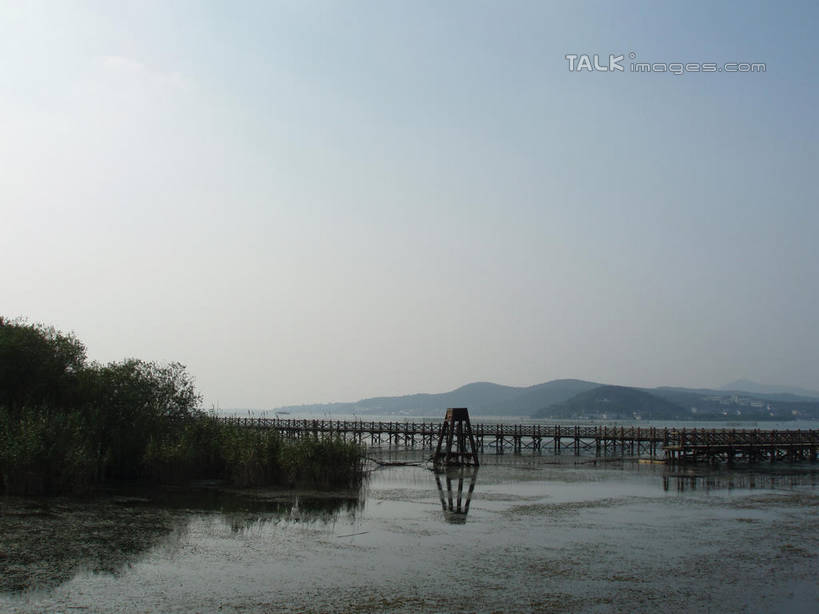无人,横图,室外,白天,正面,旅游,度假,草地,草坪,湖,湖泊,美景,山,山脉,树林,水,植物,太湖,中国,亚洲,阴影,光线,木板,影子,湖面,景观,山峰,水流,水面,桥,木桥,山峦,娱乐,江苏,苏州,栈桥,草,树,树木,蓝色,绿色,蓝天,天空,阳光,自然,湖水,群山,天,享受,休闲,景色,放松,缥缈峰,西山,生长,晴朗,成长,人行桥,木板桥,自然风光,东亚,江苏省,苏州市,万里无云,中华人民共和国,华东地区,苏,吴中区,晴空,晴空万里,彩图,洞庭西山,包山,shslj1