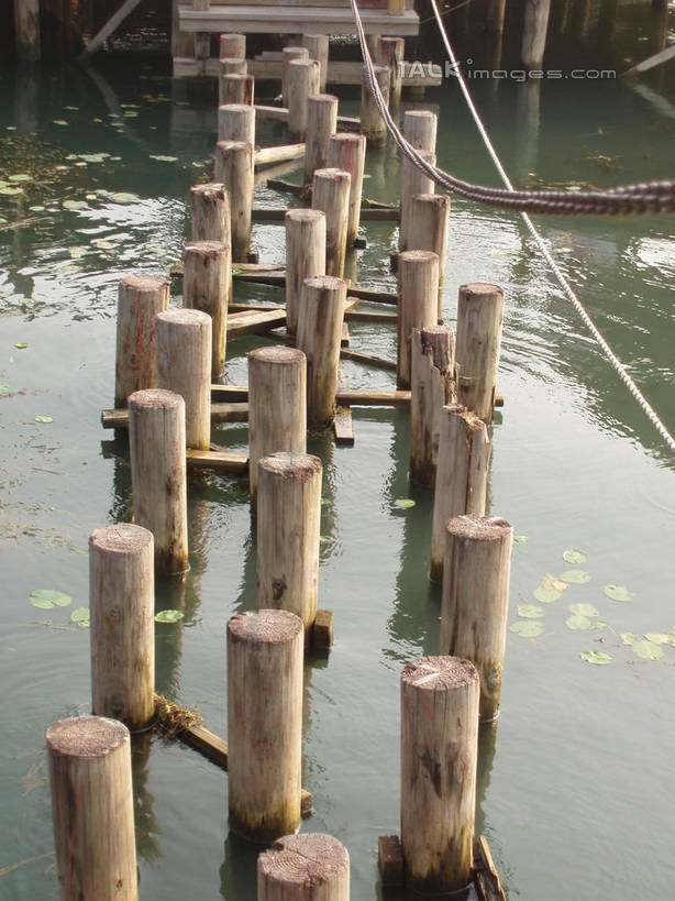 无人,竖图,俯视,室外,特写,白天,湖,湖泊,美景,水,太湖,中国,亚洲,一排,许多,阴影,波纹,整齐,并列,并排,光线,影子,湖面,景观,水流,水面,树桩,涟漪,很多,江苏,苏州,树,树干,排列,水纹,阳光,自然,波浪,湖水,木桩,景色,缥缈峰,西山,队列,自然风光,平行,东亚,江苏省,苏州市,中华人民共和国,华东地区,苏,水晕,吴中区,彩图,高角度拍摄,洞庭西山,包山,shslj1