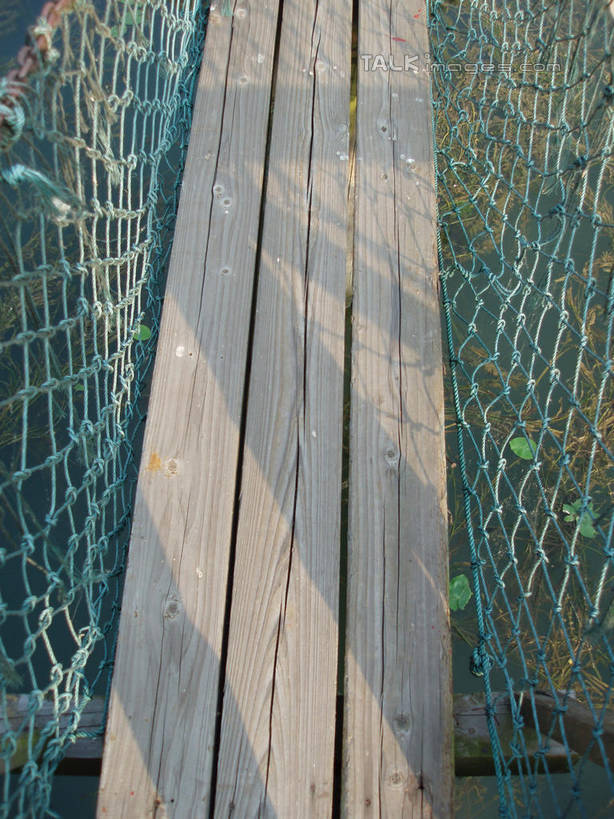 无人,竖图,室外,特写,白天,正面,美景,太湖,中国,亚洲,阴影,光线,木板,网,影子,洞,景观,桥,木桥,江苏,苏州,栈桥,阳光,自然,景色,缥缈峰,西山,人行桥,木板桥,自然风光,东亚,江苏省,苏州市,穴,中华人民共和国,华东地区,苏,吴中区,彩图,洞庭西山,包山,shslj1