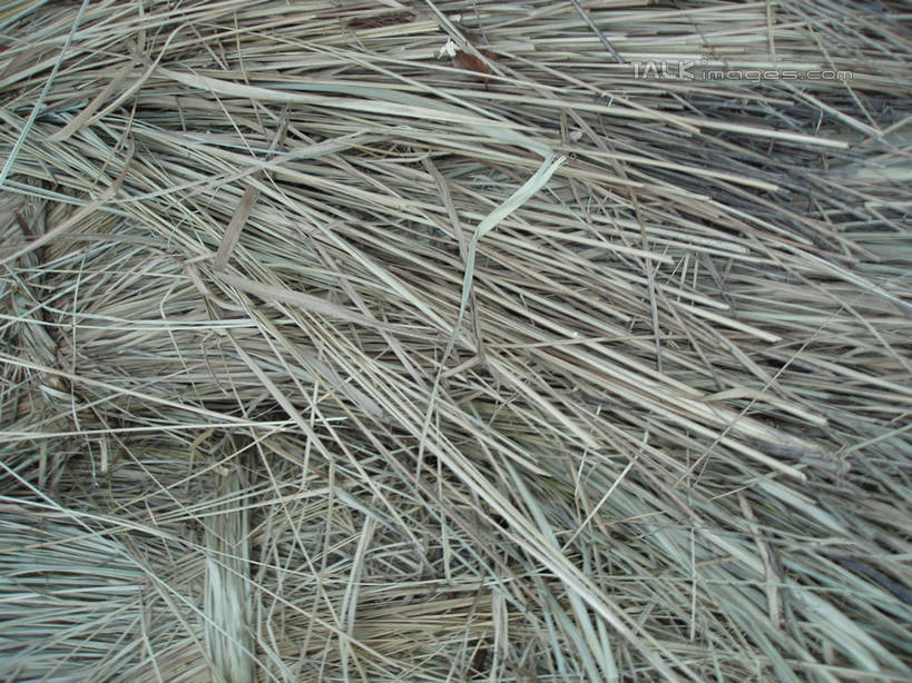 无人,横图,室外,特写,白天,正面,一堆,许多,堆叠,堆积,纹路,纹理,干草,很多,草垛,堆,肌理,干草垛,彩图,shslj1