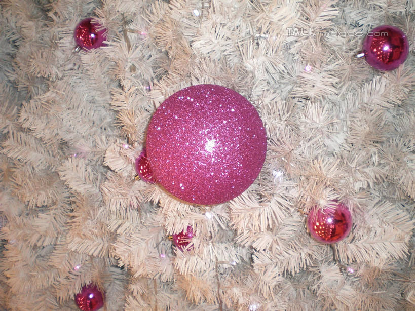 无人,横图,室内,特写,白天,正面,植物,圣诞节,阴影,节日,庆祝,装饰,反射,挂饰,影子,圣诞树,圣诞球,文化,球,树,树木,粉色,白色,自然,庆典,球体,生长,成长,纪念,华丽,修饰,点缀,衬托,美观,雅致,雅观,彩图,shslj1