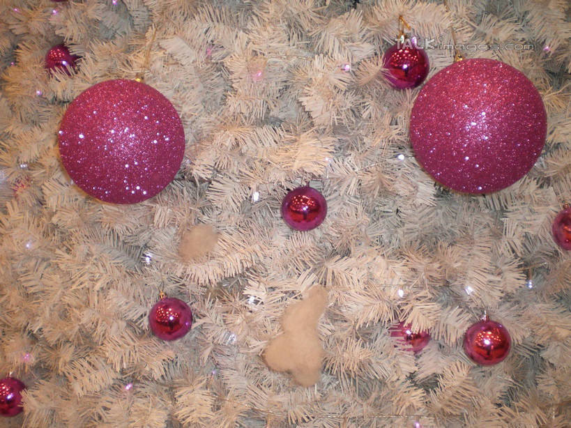 无人,横图,室内,特写,白天,正面,植物,圣诞节,阴影,节日,庆祝,装饰,反射,挂饰,影子,圣诞树,圣诞球,文化,球,树,树木,粉色,白色,自然,庆典,球体,生长,成长,纪念,华丽,修饰,点缀,衬托,美观,雅致,雅观,彩图,shslj1