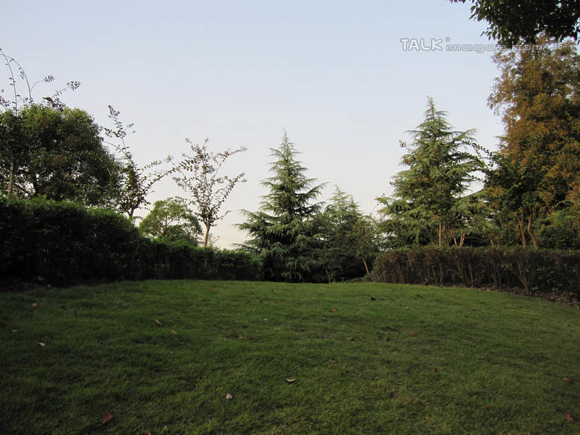 无人,横图,室外,白天,正面,旅游,度假,草地,草坪,美景,植物,阴影,环保,光线,影子,景观,防护,娱乐,草,树,树木,蓝色,绿色,蓝天,天空,阳光,自然,天,享受,休闲,景色,放松,生长,晴朗,成长,美好,美妙,自然风光,间隔,万里无云,美观,雅观,绿篱,生篱,树篱,植篱,晴空,晴空万里,彩图,shslj1