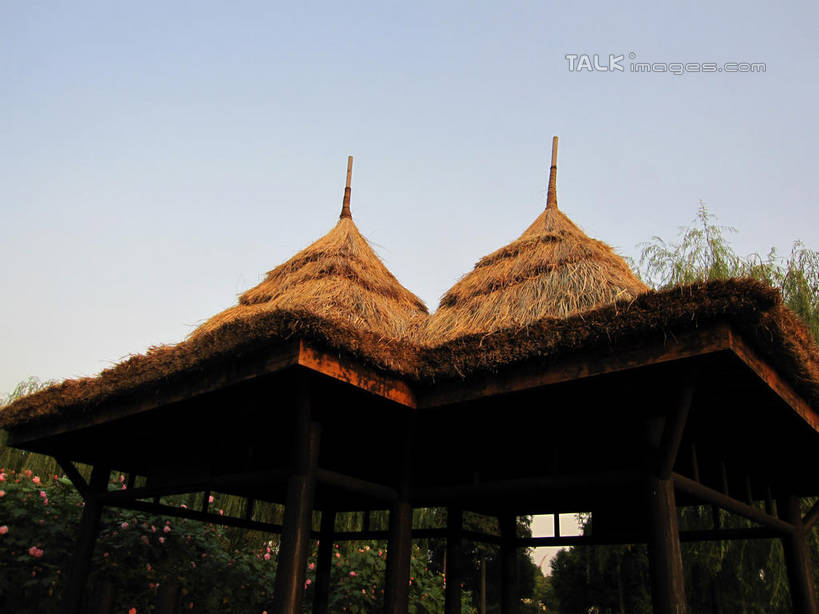 无人,栏杆,横图,室外,白天,仰视,旅游,度假,美景,树林,植物,阴影,光线,影子,亭子,屋顶,草屋,景观,围栏,顶棚,娱乐,护栏,树,树木,蓝色,绿色,蓝天,天空,阳光,自然,凉亭,茅草屋,天,享受,休闲,景色,放松,生长,晴朗,成长,自然风光,万里无云,晴空,晴空万里,彩图,低角度拍摄,shslj1