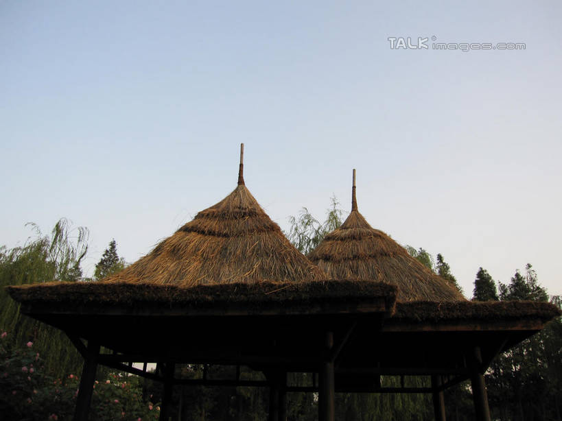 无人,栏杆,横图,室外,白天,仰视,旅游,度假,美景,树林,植物,阴影,光线,影子,亭子,屋顶,草屋,景观,围栏,顶棚,娱乐,护栏,树,树木,蓝色,绿色,蓝天,天空,阳光,自然,凉亭,茅草屋,天,享受,休闲,景色,放松,生长,晴朗,成长,自然风光,万里无云,晴空,晴空万里,彩图,低角度拍摄,shslj1