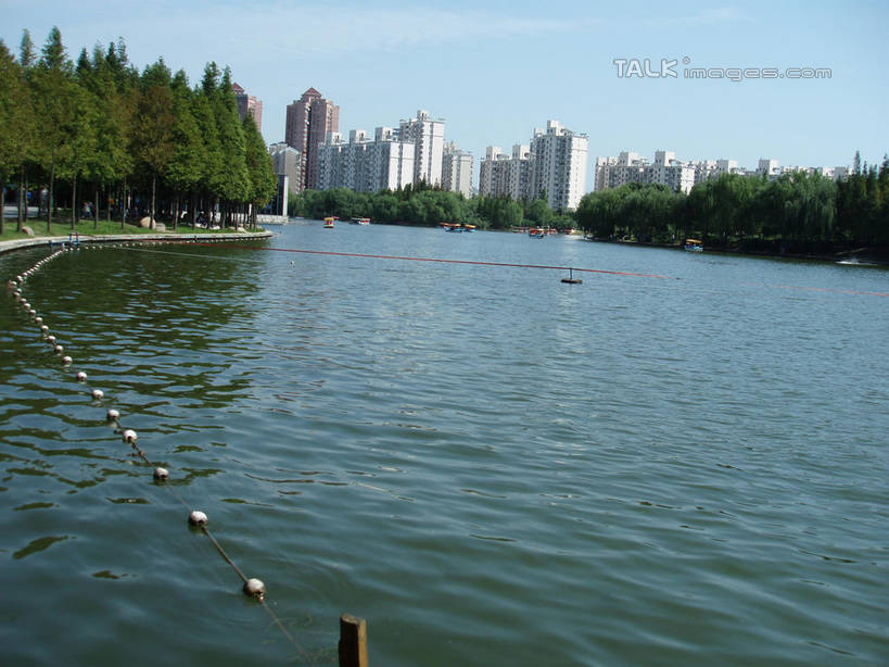 无人,公园,家,横图,室外,白天,正面,度假,草地,草坪,湖,湖泊,美景,树林,水,植物,城市风光,城市,上海,中国,亚洲,阴影,波纹,光线,影子,房屋,屋子,湖面,景观,水流,水面,公寓,涟漪,娱乐,洋房,楼房,住宅,草,树,树木,蓝色,绿色,蓝天,水纹,天空,阳光,自然,波浪,湖水,人工湖,天,享受,休闲,景色,放松,大宁灵石公园,生长,晴朗,成长,申,东亚,上海市,万里无云,中华人民共和国,沪,华东地区,水晕,闸北区,晴空,晴空万里,彩图,房子,广中西路,shslj1