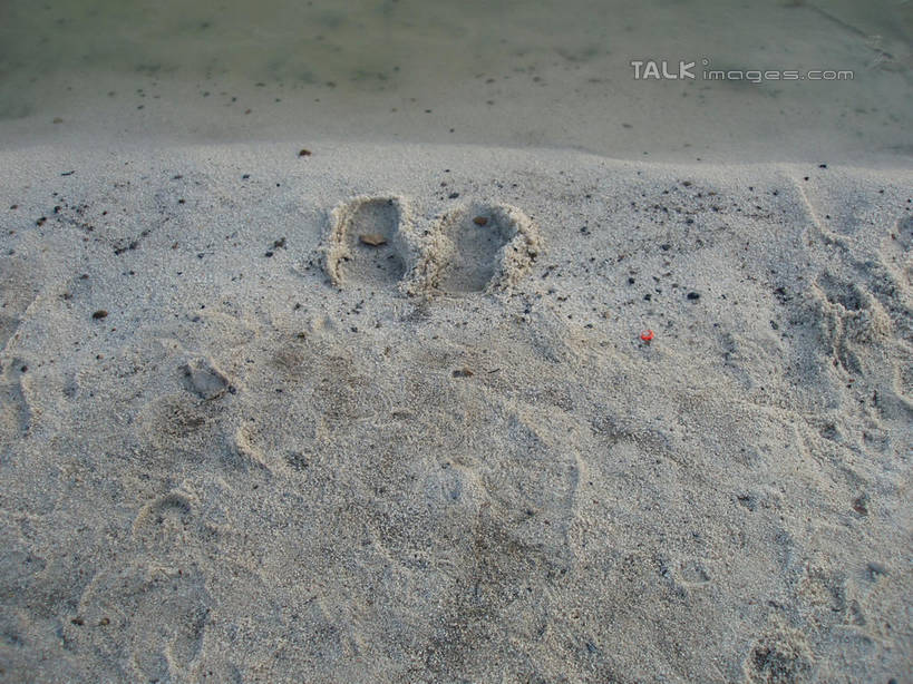 无人,公园,横图,俯视,室外,特写,白天,美景,上海,中国,亚洲,许多,阴影,光线,纹路,沙子,纹理,影子,景观,沙,很多,阳光,自然,景色,大宁灵石公园,砂,申,自然风光,东亚,上海市,肌理,中华人民共和国,沪,华东地区,闸北区,彩图,高角度拍摄,广中西路,shslj1