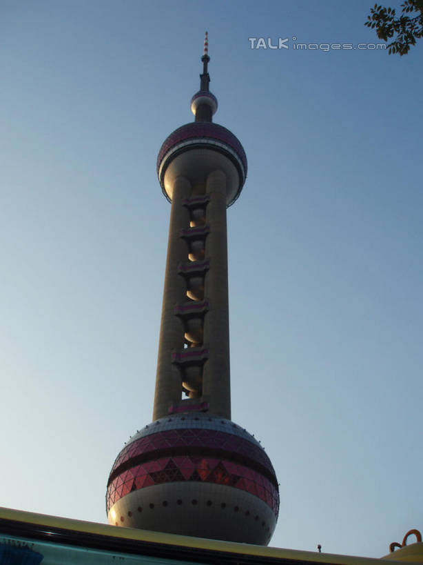 无人,竖图,室外,白天,仰视,旅游,度假,植物,标志建筑,地标,建筑,上海,中国,亚洲,阴影,光线,影子,娱乐,建设,东方明珠,浦东,树,树木,蓝色,绿色,蓝天,天空,阳光,自然,天,享受,休闲,旅游胜地,放松,生长,晴朗,成长,申,浦东新区,东亚,东方明珠广播电视塔,东方明珠电视塔,上海市,万里无云,中华人民共和国,沪,华东地区,晴空,晴空万里,彩图,低角度拍摄,shslj1