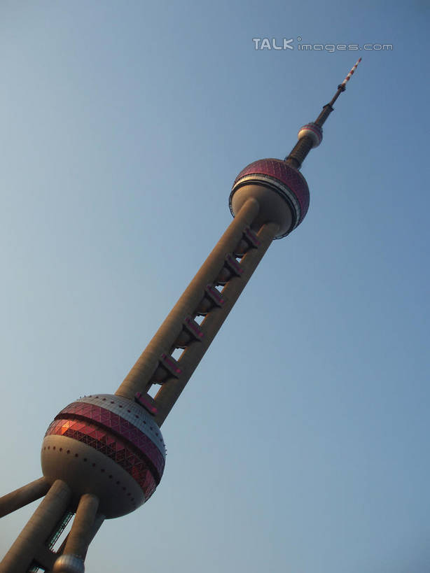 无人,竖图,室外,白天,仰视,旅游,度假,植物,标志建筑,地标,建筑,上海,中国,亚洲,阴影,光线,影子,娱乐,建设,东方明珠,浦东,树,树木,蓝色,绿色,蓝天,天空,阳光,自然,天,享受,休闲,旅游胜地,放松,生长,晴朗,成长,申,浦东新区,东亚,东方明珠广播电视塔,东方明珠电视塔,上海市,万里无云,中华人民共和国,沪,华东地区,晴空,晴空万里,彩图,低角度拍摄,shslj1