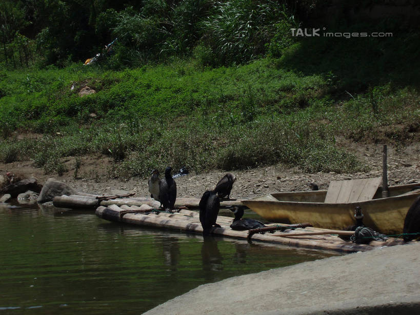 无人,站,横图,室外,白天,正面,旅游,度假,草地,草坪,湖,湖泊,石头,美景,沙滩,水,植物,船,鸟,中国,亚洲,阴影,波纹,光线,鸟类,沙子,石子,影子,河岸,河滩,湖面,景观,水流,水面,木船,涟漪,沙地,注视,娱乐,浙江,草,浙江省,绿色,水纹,阳光,自然,交通工具,波浪,湖水,观察,看,站着,享受,休闲,景色,放松,千岛湖,观看,察看,舟,关注,自然风光,载具,东亚,中华人民共和国,华东地区,水晕,浙,石块,岩石,站立,彩图,全身,淳安,淳安县,新安江水库,shslj1