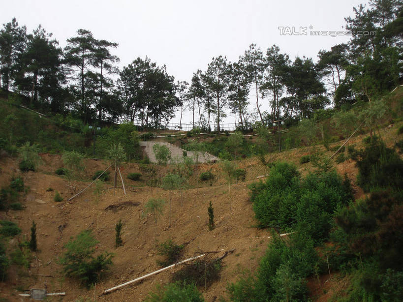 无人,横图,室外,白天,仰视,旅游,度假,草地,草坪,美景,山,山脉,树林,植物,中国,亚洲,阴影,光线,影子,景观,泥土,山峰,土壤,山峦,娱乐,浙江,草,树,树木,浙江省,蓝色,绿色,蓝天,天空,阳光,自然,群山,天,享受,休闲,景色,放松,千岛湖,生长,晴朗,成长,自然风光,东亚,万里无云,中华人民共和国,华东地区,浙,晴空,晴空万里,彩图,低角度拍摄,淳安,淳安县,新安江水库,shslj1