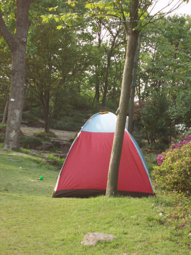 无人,竖图,室外,白天,正面,旅游,度假,草地,草坪,美景,植物,上海,中国,亚洲,帐篷,景观,娱乐,草,树,树木,绿色,自然,享受,休闲,景色,放松,上海植物园,龙吴路,生长,成长,申,自然风光,露营,野营,东亚,徐汇区,上海市,宿营,中华人民共和国,沪,华东地区,彩图,shslj1
