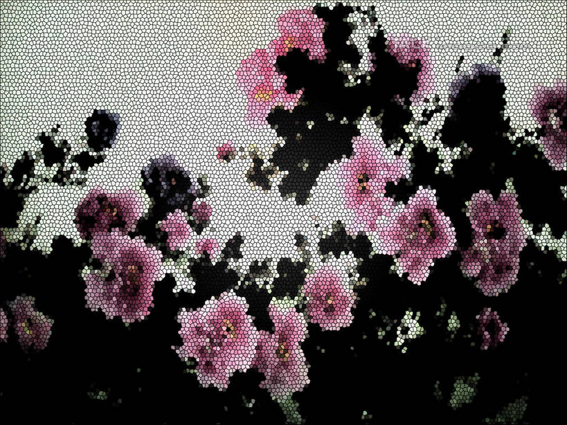 无人,横图,室外,白天,正面,绘画,建材,建筑,上海,中国,亚洲,艺术,装饰,盛开,材料,瓷砖,马赛克,墙,花蕾,文化,墙砖,壁画,墙壁,墙面,花,花瓣,花朵,鲜花,粉色,花苞,花蕊,建造,上海植物园,龙吴路,华丽,修饰,点缀,申,东亚,徐汇区,上海市,中华人民共和国,沪,华东地区,衬托,美观,雅致,雅观,画画,彩图,墙面砖,锦砖,马赛克瓷砖,纸皮砖,shslj1