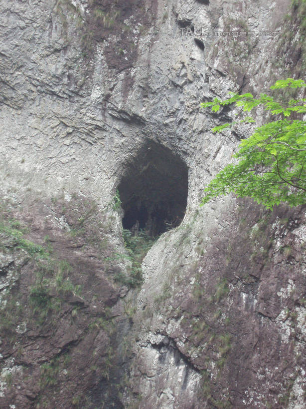 无人,竖图,室外,白天,正面,旅游,度假,石头,美景,山,山脉,植物,中国,亚洲,石子,景观,山峰,悬崖,山峦,娱乐,浙江,树,树木,浙江省,绿色,自然,群山,享受,休闲,景色,放松,雁荡山,生长,成长,自然风光,东亚,中华人民共和国,华东地区,浙,温州,温州市,绝壁,石块,岩石,彩图,shslj1