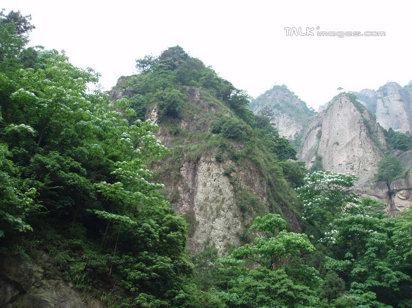 无人,横图,室外,白天,仰视,旅游,度假,石头,美景,森林,山,山脉,树林,植物,中国,亚洲,石子,景观,山峰,悬崖,山峦,娱乐,浙江,树,树木,浙江省,绿色,天空,自然,群山,天,享受,休闲,景色,放松,雁荡山,生长,成长,自然风光,东亚,中华人民共和国,华东地区,浙,温州,温州市,绝壁,石块,岩石,彩图,低角度拍摄,shslj1