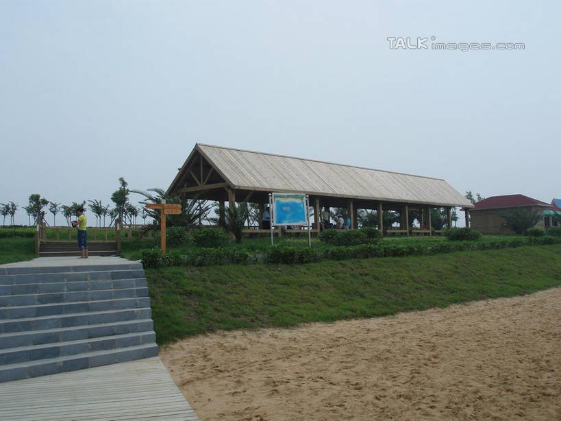 无人,家,横图,室外,白天,正面,旅游,度假,草地,草坪,美景,沙滩,植物,楼梯,上海,中国,亚洲,沙子,房屋,阶梯,屋子,海岸,景观,沙地,娱乐,楼房,台阶,住宅,草,树,树木,蓝色,绿色,蓝天,天空,自然,天,享受,休闲,景色,放松,水上乐园,奉贤区,生长,晴朗,成长,申,自然风光,东亚,上海市,万里无云,中华人民共和国,沪,华东地区,海滩,晴空,晴空万里,彩图,房子,碧海金沙水上乐园,shslj1