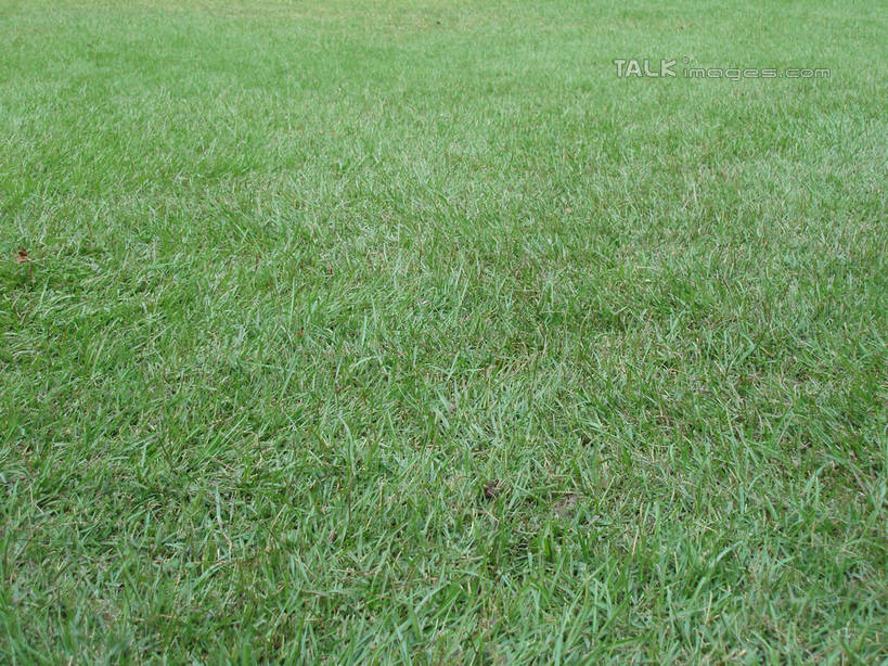 无人,游乐园,横图,俯视,室外,白天,旅游,度假,草地,草坪,美景,植物,游乐场,景观,娱乐,草,绿色,自然,享受,休闲,景色,放松,自然风光,乐园,主题公园,彩图,高角度拍摄,人造公园,主题乐园,shslj1