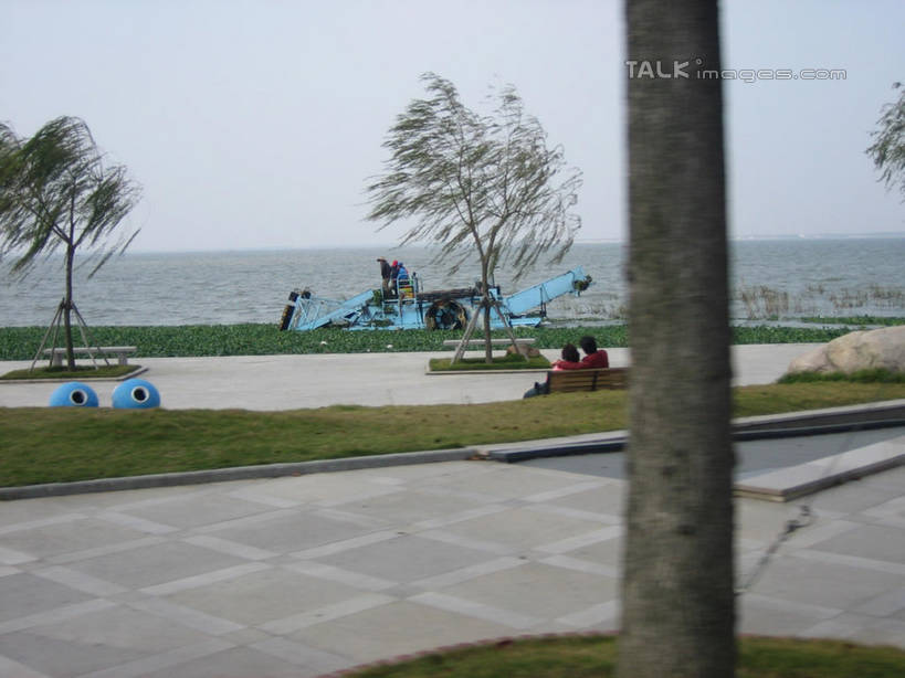 无人,横图,室外,白天,正面,度假,草地,草坪,湖,湖泊,美景,水,植物,城市风光,城市,上海,中国,亚洲,湖面,景观,水流,水面,娱乐,草,树,树木,绿色,天空,自然,湖水,天,享受,休闲,景色,放松,东方绿舟,生长,成长,申,青浦区,东亚,上海市,中华人民共和国,沪,华东地区,彩图,shslj1