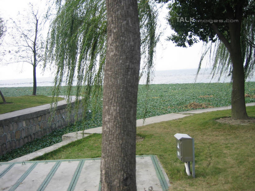 无人,横图,室外,白天,正面,度假,草地,草坪,湖,湖泊,美景,水,植物,城市风光,城市,上海,中国,亚洲,湖面,景观,水流,水面,娱乐,草,树,树木,绿色,天空,自然,湖水,天,享受,休闲,景色,放松,东方绿舟,生长,成长,申,青浦区,东亚,上海市,中华人民共和国,沪,华东地区,彩图,shslj1