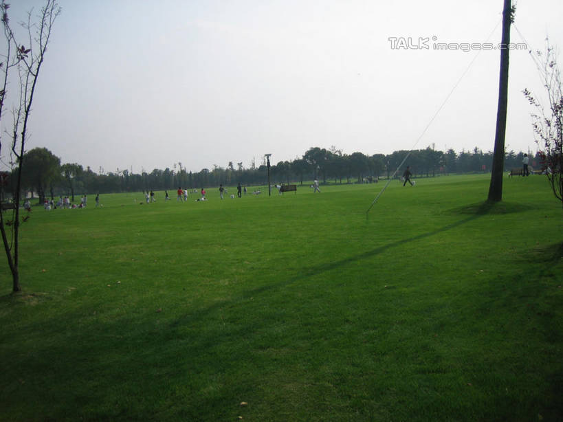 无人,横图,室外,白天,正面,度假,草地,草坪,美景,植物,城市风光,城市,上海,中国,亚洲,阴影,光线,影子,景观,娱乐,草,树,树木,蓝色,绿色,蓝天,天空,阳光,自然,天,享受,休闲,景色,放松,东方绿舟,生长,晴朗,成长,申,青浦区,东亚,上海市,万里无云,中华人民共和国,沪,华东地区,晴空,晴空万里,彩图,shslj1