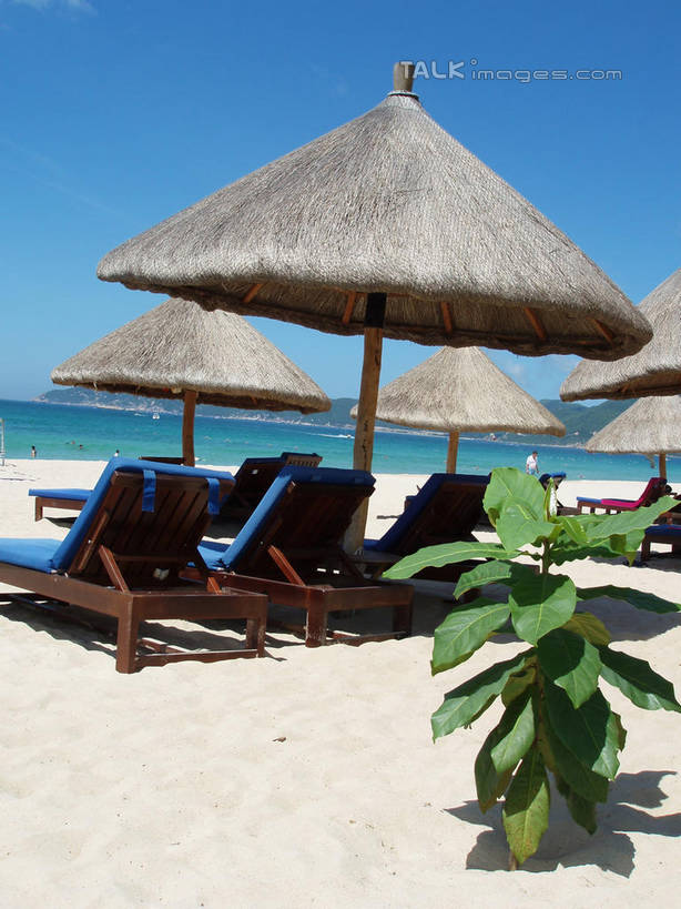 无人,竖图,室外,白天,正面,旅游,度假,海浪,海洋,美景,沙滩,植物,叶子,椅子,三亚,中国,亚洲,阴影,光线,伞,沙子,影子,雨伞,遮阳伞,躺椅,海岸,景观,浪花,绿叶,沙地,娱乐,阳伞,海南,蓝色,绿色,蓝天,天空,阳光,自然,海水,天,享受,休闲,嫩叶,景色,放松,海南省,生长,晴朗,成长,沙滩椅,太阳伞,自然风光,海景,东亚,三亚市,万里无云,中华人民共和国,华南地区,琼,叶,叶片,大海,风浪,海,海水的波动,海滩,近岸浪,涌浪,晴空,晴空万里,彩图,shslj1