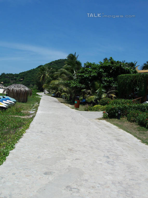 无人,竖图,室外,白天,正面,旅游,度假,草地,草坪,美景,植物,道路,路,棕榈树,叶子,三亚,中国,亚洲,阴影,光线,影子,景观,云,云朵,小路,绿叶,交通,云彩,娱乐,草,树,树木,海南,蓝色,绿色,白云,蓝天,天空,阳光,自然,天,享受,休闲,嫩叶,景色,放松,海南省,生长,晴朗,成长,自然风光,东亚,棕榈叶,三亚市,中华人民共和国,华南地区,琼,叶,叶片,晴空,棕树,棕榈,彩图,shslj1