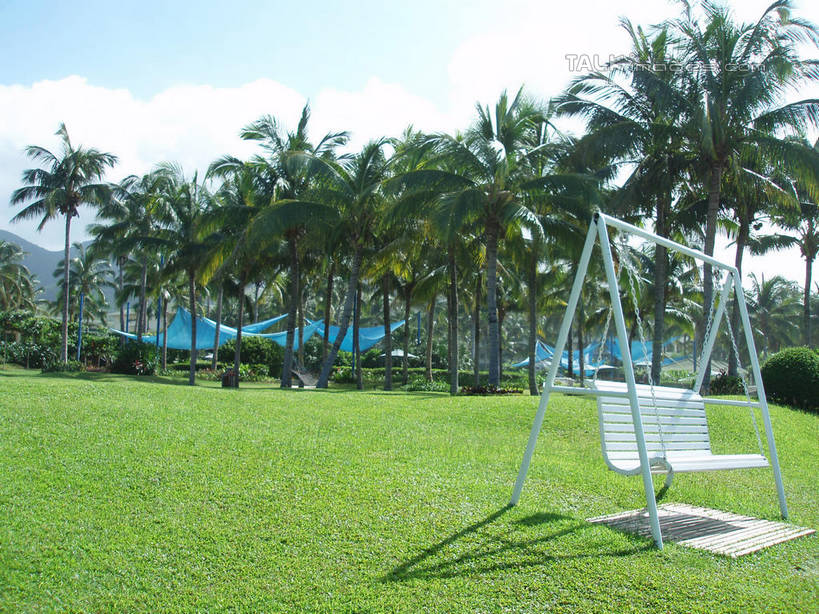 无人,横图,室外,白天,正面,旅游,度假,游戏,草地,草坪,美景,植物,棕榈树,叶子,三亚,中国,亚洲,摇摆,阴影,光线,影子,景观,云,云朵,绿叶,玩,云彩,娱乐,草,树,树木,海南,蓝色,绿色,白云,蓝天,天空,阳光,自然,秋千,天,荡秋千,享受,休闲,嫩叶,景色,放松,海南省,生长,晴朗,成长,活动,自然风光,摇晃,东亚,棕榈叶,三亚市,中华人民共和国,华南地区,琼,叶,叶片,晴空,棕树,棕榈,玩耍,嬉戏,彩图,shslj1