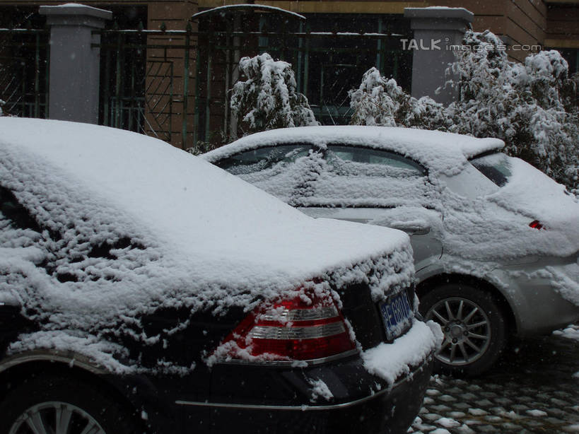 无人,家,横图,室外,白天,正面,旅游,度假,美景,雪,植物,大雪,汽车,房屋,屋子,积雪,景观,雪景,冬季,冬天,娱乐,楼房,住宅,车,树,树木,绿色,自然,交通工具,轿车,享受,休闲,景色,放松,寒冷,生长,成长,自然风光,载具,严寒,彩图,房子,shslj1