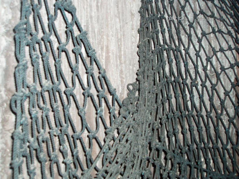 无人,横图,室内,特写,白天,正面,旅游,度假,标志建筑,地标,建筑,静物,上海,中国,亚洲,表演,吊挂,悬挂,挂,娱乐,建设,浦东,水族馆,享受,休闲,展示,旅游胜地,放松,海底世界,渔网,展览,渔具,申,饲养,抓捕,捕捞,鱼网,陆家嘴,浦东新区,东亚,收集,上海市,拉网,捕捞工具,中华人民共和国,沪,华东地区,极地海洋世界,彩图,上海海洋水族馆,上海水族馆,shslj1