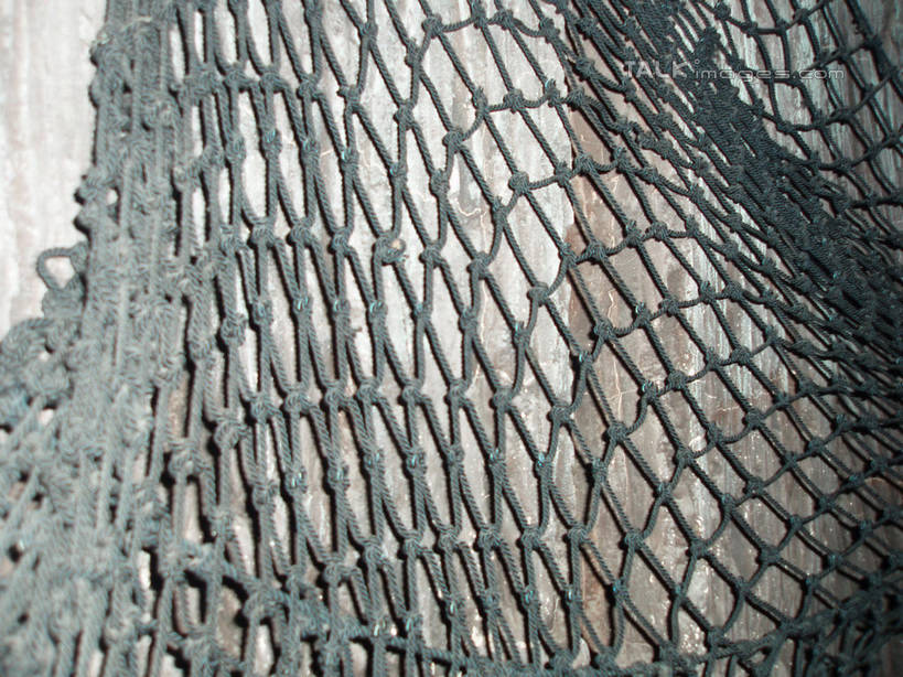 无人,横图,室内,特写,白天,正面,旅游,度假,标志建筑,地标,建筑,静物,上海,中国,亚洲,表演,吊挂,悬挂,挂,娱乐,建设,浦东,水族馆,享受,休闲,展示,旅游胜地,放松,海底世界,渔网,展览,渔具,申,饲养,抓捕,捕捞,鱼网,陆家嘴,浦东新区,东亚,收集,上海市,拉网,捕捞工具,中华人民共和国,沪,华东地区,极地海洋世界,彩图,上海海洋水族馆,上海水族馆,shslj1