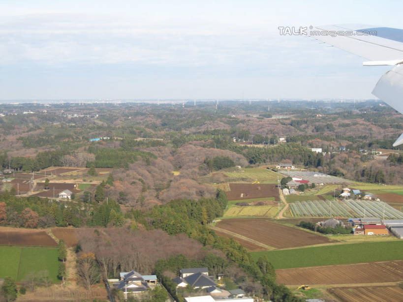 无人,家,横图,俯视,航拍,室外,白天,旅游,度假,美景,森林,树林,植物,城市风光,城市,建筑,阴影,光线,影子,房屋,屋子,景观,云,云朵,公寓,云彩,娱乐,建设,洋房,楼房,住宅,树,树木,蓝色,绿色,白云,蓝天,天空,阳光,自然,天,享受,休闲,景色,放松,生长,晴朗,成长,鸟瞰,晴空,彩图,高角度拍摄,房子,shslj1