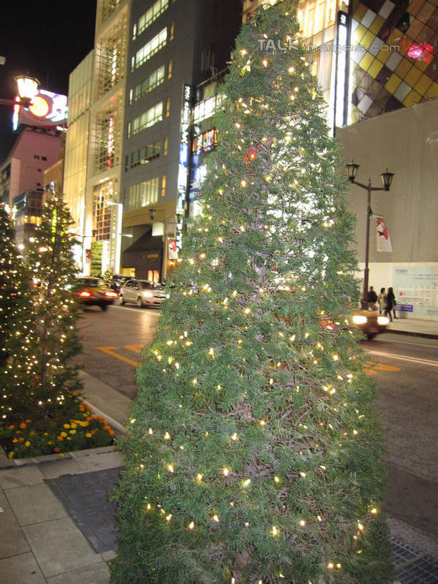 无人,高楼大厦,商店,竖图,室外,夜晚,正面,购物,度假,消费,美景,植物,城市风光,超市,城市,大厦,建筑,摩天大楼,商场,夜景,照明,东京,日本,圣诞节,亚洲,阴影,节日,庆祝,环绕,缠绕,光线,彩灯,影子,景观,灯光,圣诞树,中央区,文化,娱乐,建设,灯,树,树木,绿色,自然,灯具,庆典,享受,休闲,银座,景色,放松,金融,百货,花灯,生长,成长,纪念,照亮,照明设备,纠缠,选购,贸易,圣诞灯,百货公司,东亚,本州,关东地方,本州岛,日本国,东京都,血拼,彩图,大楼,高层建筑,高楼,购物商场,购物中心,摩天楼,商业中心,shslj1