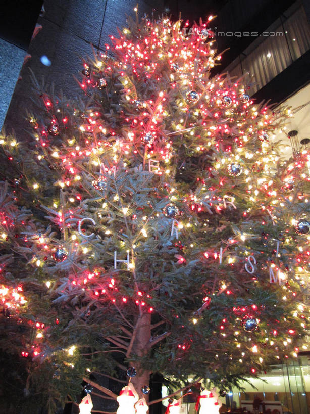 无人,商店,竖图,室外,夜晚,仰视,购物,度假,消费,美景,植物,城市风光,超市,城市,商场,夜景,照明,东京,日本,圣诞节,亚洲,阴影,节日,庆祝,装饰,光线,彩灯,挂饰,影子,景观,灯光,圣诞树,圣诞球,中央区,文化,娱乐,灯,球,树,树木,绿色,自然,灯具,庆典,享受,休闲,球体,银座,景色,放松,金融,百货,花灯,生长,成长,纪念,华丽,修饰,照亮,点缀,照明设备,选购,贸易,圣诞灯,百货公司,东亚,本州,关东地方,本州岛,日本国,东京都,衬托,美观,雅致,雅观,血拼,彩图,低角度拍摄,购物商场,购物中心,商业中心,shslj1