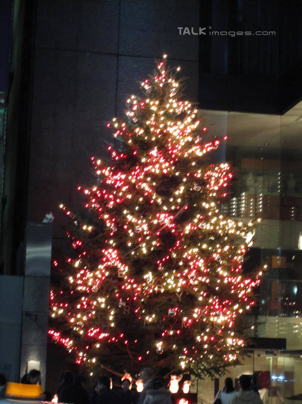 无人,高楼大厦,商店,竖图,室外,夜晚,仰视,购物,度假,办公楼,消费,美景,植物,城市风光,超市,城市,大厦,建筑,摩天大楼,商场,写字楼,照明,东京,日本,圣诞节,亚洲,阴影,节日,庆祝,装饰,光线,彩灯,挂饰,影子,景观,灯光,圣诞树,圣诞球,中央区,文化,娱乐,灯,球,树,树木,绿色,自然,灯具,楼宇,庆典,享受,休闲,球体,银座,商务楼,景色,放松,金融,百货,花灯,生长,成长,纪念,华丽,修饰,照亮,点缀,照明设备,选购,贸易,圣诞灯,百货公司,东亚,本州,关东地方,本州岛,日本国,东京都,衬托,美观,雅致,雅观,血拼,彩图,低角度拍摄,大楼,高层建筑,高楼,购物商场,购物中心,摩天楼,商业中心,shslj1