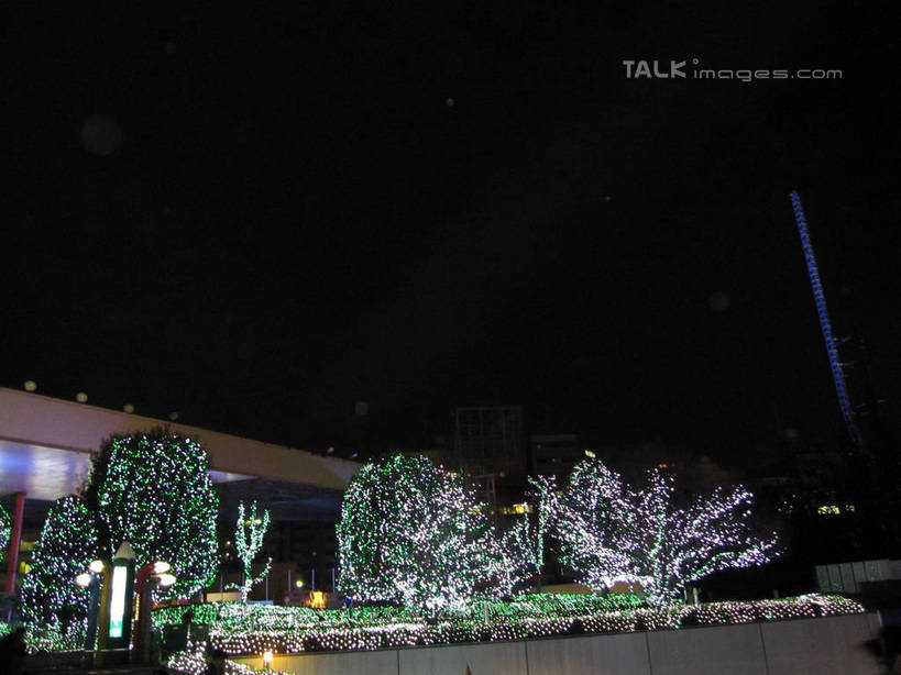 无人,商店,横图,室外,夜晚,仰视,购物,度假,消费,美景,植物,城市风光,超市,城市,商场,照明,东京,日本,亚洲,阴影,光线,彩灯,影子,景观,灯光,圣诞树,中央区,娱乐,灯,树,树木,绿色,自然,灯具,享受,休闲,银座,景色,放松,金融,百货,花灯,生长,成长,照亮,照明设备,选购,贸易,圣诞灯,百货公司,东亚,本州,关东地方,本州岛,日本国,东京都,血拼,彩图,低角度拍摄,购物商场,购物中心,商业中心,shslj1