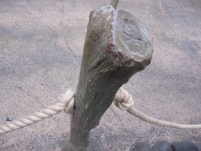 无人,游乐园,横图,俯视,室外,特写,白天,度假,美景,城市风光,城市,道路,路,游乐场,公路,东京,日本,亚洲,景观,树桩,交通,娱乐,树,树干,绳子,享受,休闲,迪斯尼乐园,木桩,景色,放松,绳索,东亚,本州,关东地方,本州岛,日本国,东京都,乐园,主题公园,马路,彩图,高角度拍摄,人造公园,主题乐园,东京迪斯尼乐园,shslj1