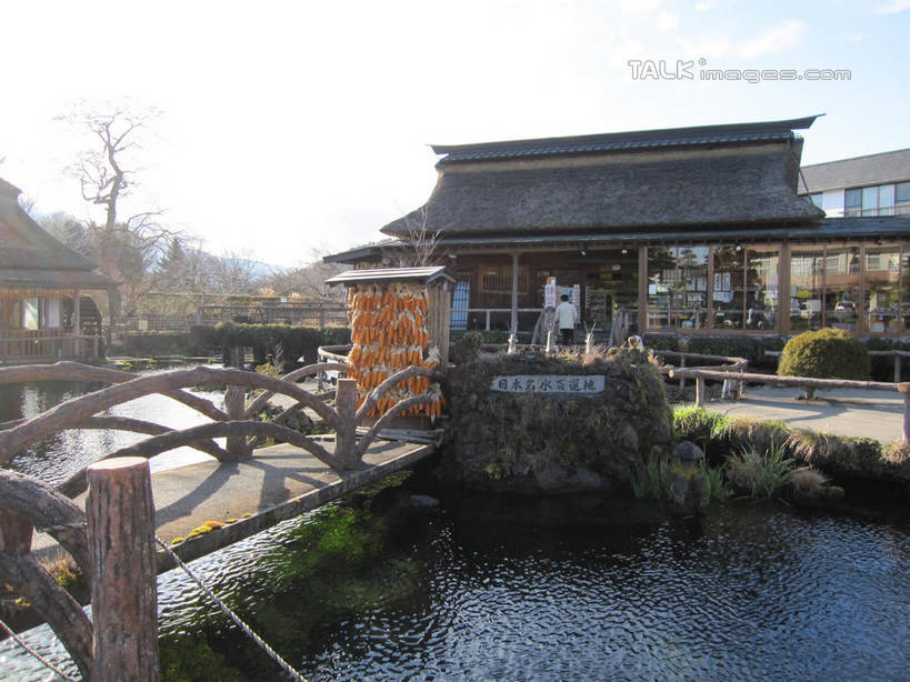 无人,家,木屋,栏杆,横图,室外,白天,正面,旅游,度假,河流,美景,水,植物,建筑,日本,亚洲,阴影,波纹,光线,木板,瓦片,影子,屋顶,池塘,河水,景观,水流,围栏,桥,木桥,涟漪,顶棚,瓦,娱乐,护栏,住宅,栈桥,树,树木,蓝色,绿色,倒影,蓝天,水纹,天空,阳光,自然,波浪,天,享受,休闲,景色,放松,建造,泉水,忍野八海,生长,晴朗,成长,人行桥,木板桥,倒映,自然风光,东亚,屋瓦,本州,万里无云,本州岛,日本国,中部地方,山梨,山梨县,水晕,反照,晴空,晴空万里,彩图,茅舍,茅屋,棚屋,小木屋,小屋,涌泉群,shslj1