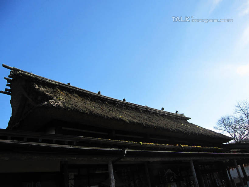 无人,家,木屋,横图,室外,白天,仰视,旅游,度假,植物,建筑,日本,亚洲,阴影,光线,瓦片,影子,屋顶,池塘,顶棚,瓦,娱乐,住宅,树,树木,蓝色,绿色,蓝天,天空,阳光,自然,天,享受,休闲,放松,建造,泉水,忍野八海,生长,晴朗,成长,东亚,屋瓦,本州,万里无云,本州岛,日本国,中部地方,山梨,山梨县,晴空,晴空万里,彩图,低角度拍摄,茅舍,茅屋,棚屋,小木屋,小屋,涌泉群,shslj1