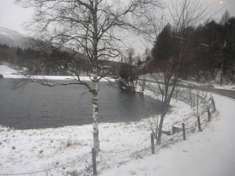 无人,栏杆,横图,室外,白天,正面,旅游,度假,湖,湖泊,美景,森林,树林,水,雪,植物,大雪,长野县,日本,亚洲,湖面,积雪,景观,水流,水面,雪景,冬季,冬天,围栏,娱乐,护栏,树,树木,绿色,自然,湖水,享受,休闲,景色,放松,寒冷,白桦,生长,成长,白桦湖,自然风光,东亚,本州,本州岛,日本国,中部地方,长野,严寒,桦树,桦皮树,桦木,彩图,北佐久郡,立科町,shslj1