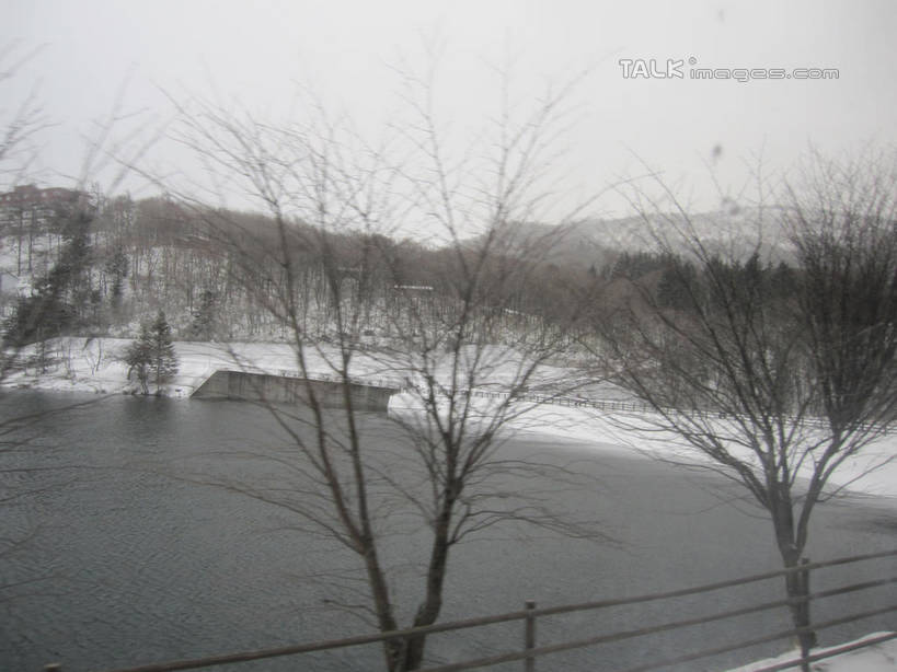 无人,栏杆,横图,室外,白天,正面,旅游,度假,湖,湖泊,美景,森林,树林,水,雪,植物,大雪,长野县,日本,亚洲,湖面,积雪,景观,水流,水面,雪景,冬季,冬天,围栏,娱乐,护栏,树,树木,绿色,自然,湖水,享受,休闲,景色,放松,寒冷,白桦,生长,成长,白桦湖,自然风光,东亚,本州,本州岛,日本国,中部地方,长野,严寒,桦树,桦皮树,桦木,彩图,北佐久郡,立科町,shslj1