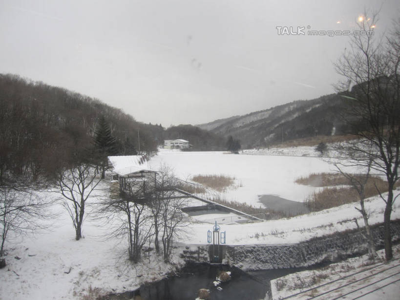 无人,横图,室外,白天,正面,旅游,度假,湖,湖泊,美景,森林,树林,水,雪,植物,大雪,长野县,日本,亚洲,湖面,积雪,景观,水流,水面,雪景,冬季,冬天,娱乐,树,树木,绿色,自然,湖水,享受,休闲,景色,放松,寒冷,白桦,生长,成长,白桦湖,自然风光,东亚,本州,本州岛,日本国,中部地方,长野,严寒,桦树,桦皮树,桦木,彩图,北佐久郡,立科町,shslj1