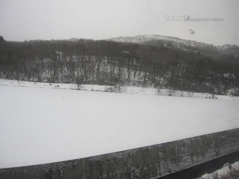 无人,横图,室外,白天,正面,旅游,度假,湖,湖泊,美景,森林,树林,水,雪,植物,大雪,长野县,日本,亚洲,湖面,积雪,景观,水流,水面,雪景,冬季,冬天,娱乐,树,树木,绿色,自然,湖水,享受,休闲,景色,放松,寒冷,白桦,生长,成长,白桦湖,自然风光,东亚,本州,本州岛,日本国,中部地方,长野,严寒,桦树,桦皮树,桦木,彩图,北佐久郡,立科町,shslj1