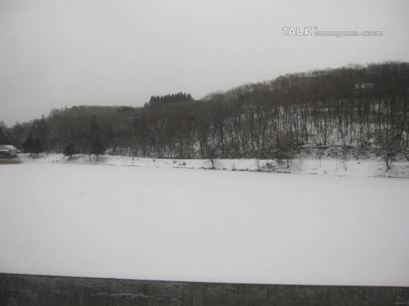 无人,横图,室外,白天,正面,旅游,度假,湖,湖泊,美景,森林,树林,水,雪,植物,大雪,长野县,日本,亚洲,湖面,积雪,景观,水流,水面,雪景,冬季,冬天,娱乐,树,树木,绿色,自然,湖水,享受,休闲,景色,放松,寒冷,白桦,生长,成长,白桦湖,自然风光,东亚,本州,本州岛,日本国,中部地方,长野,严寒,桦树,桦皮树,桦木,彩图,北佐久郡,立科町,shslj1