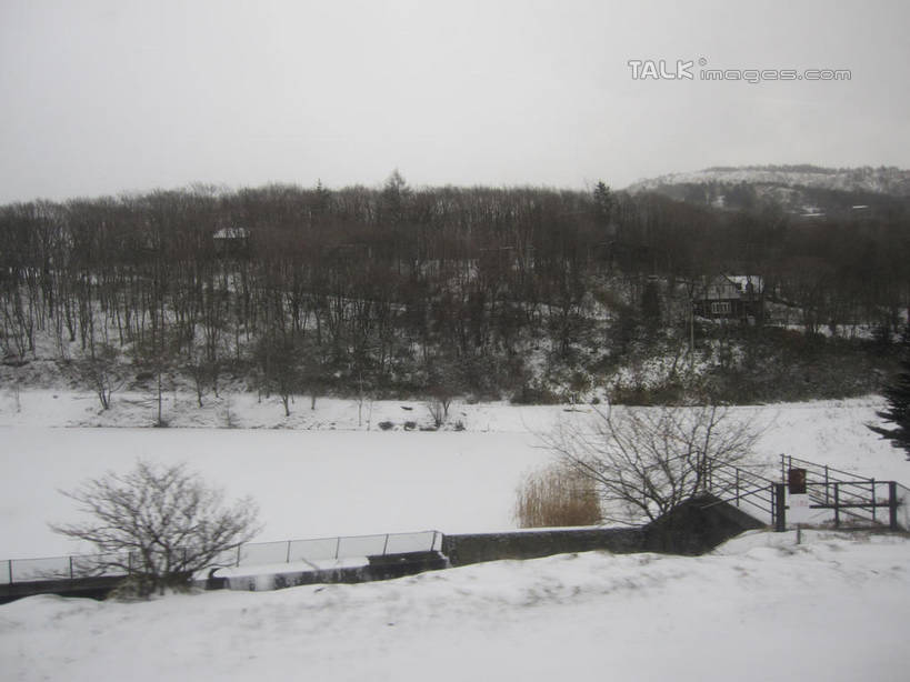 无人,横图,室外,白天,正面,旅游,度假,湖,湖泊,美景,森林,树林,水,雪,植物,大雪,长野县,日本,亚洲,湖面,积雪,景观,水流,水面,雪景,冬季,冬天,娱乐,树,树木,绿色,自然,湖水,享受,休闲,景色,放松,寒冷,白桦,生长,成长,白桦湖,自然风光,东亚,本州,本州岛,日本国,中部地方,长野,严寒,桦树,桦皮树,桦木,彩图,北佐久郡,立科町,shslj1