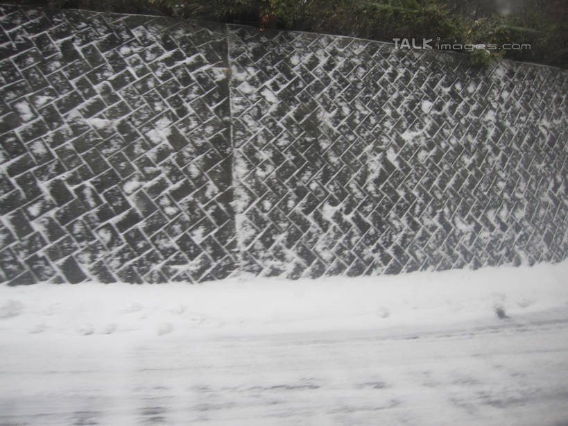 无人,横图,室外,白天,正面,石头,森林,树林,雪,植物,大雪,道路,路,公路,长野县,日本,亚洲,石子,墙,积雪,雪景,冬季,冬天,交通,墙壁,墙面,树,树木,绿色,自然,寒冷,白桦,生长,成长,白桦湖,东亚,本州,本州岛,日本国,中部地方,长野,严寒,石块,马路,桦树,桦皮树,桦木,彩图,北佐久郡,立科町,shslj1